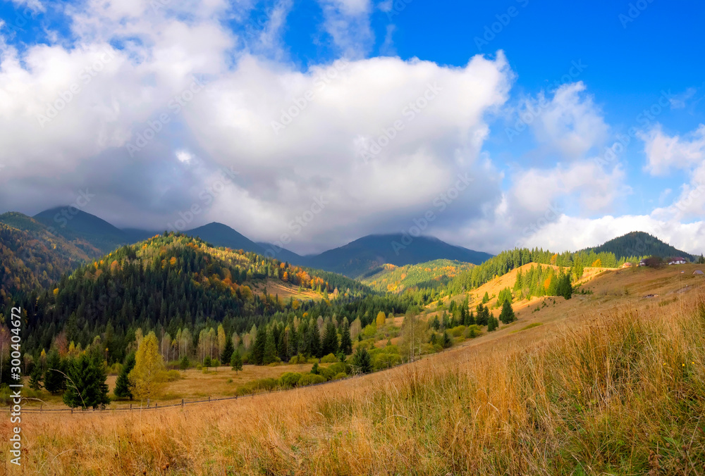 Amazing mountain landscape with colorful trees and herbs. Autumn sunny morning. Carpathian, Ukraine, Europe Amazing mountain landscape with colorful trees and herbs. Autumn sunny morning. Carpathian, Ukraine, Europe