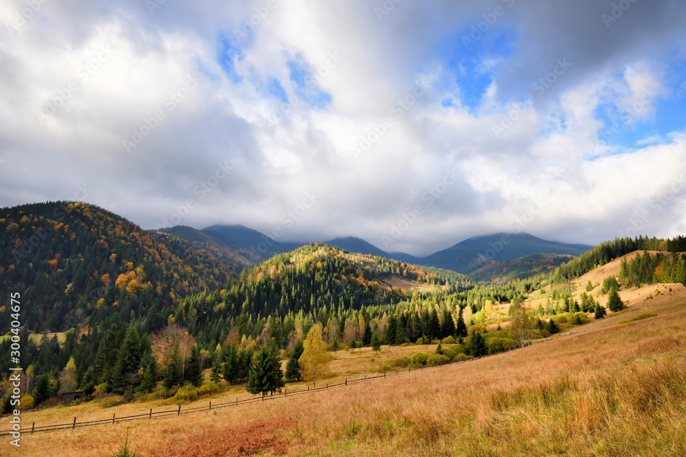Amazing mountain landscape with colorful trees and herbs. Autumn sunny morning. Carpathian, Ukraine, Europe