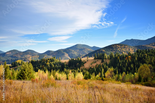 Beautiful autumn landscape in mountains and blue sky with clouds © nmelnychuk