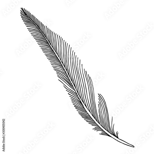 Vector bird feather from wing isolated. Black and white engraved ink art. Isolated feathers illustration element.