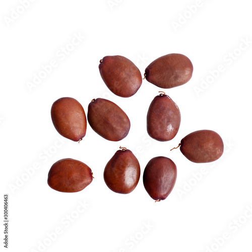 seeds of a siliculose carob top view close-up isolated photo