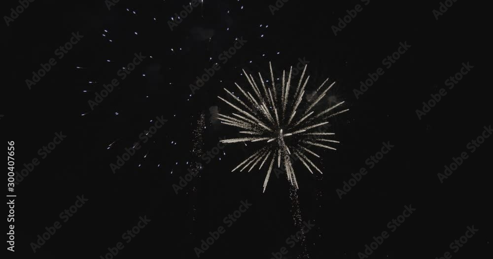 Exploding fireworks in night sky, low angle Exploding fireworks in night sky, low angle