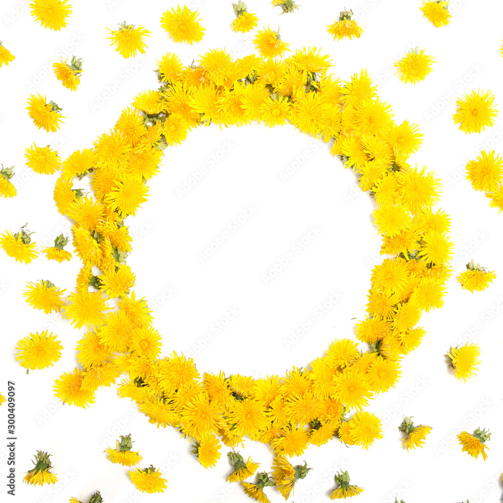 Frame made of yellow dandelions on a white