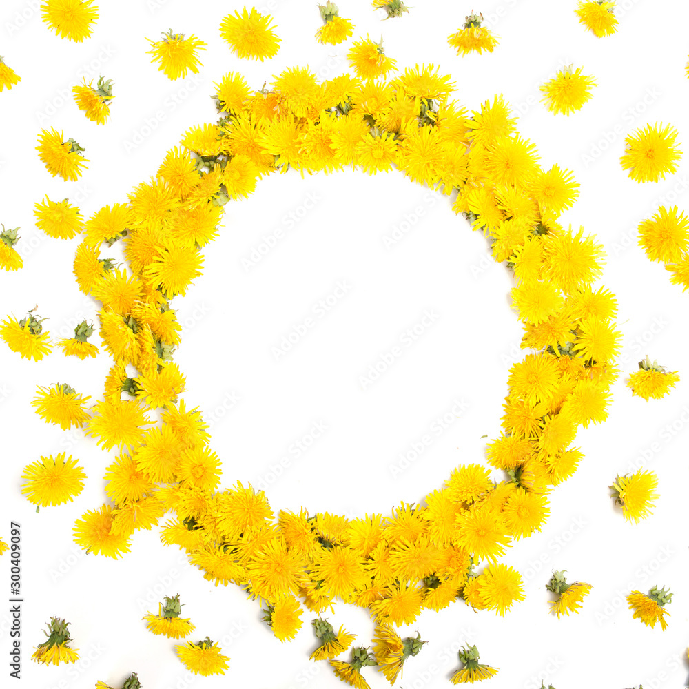 Frame made of yellow dandelions on a white Frame made of yellow dandelions on a white