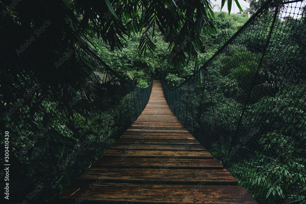 Fototapeta 3D drewniany most zawieszony w tajemniczym lesie