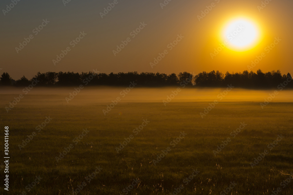 landscape fog in oak grove at dawn in the autumn landscape fog in oak grove at dawn in the autumn