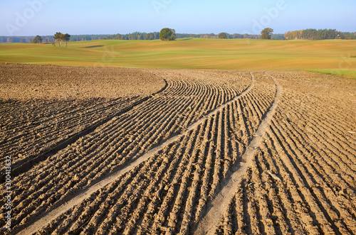View of a plowed field in warm morning sun