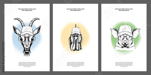 Pets in baseball cap and glasses set. Poster, card templates kit. Outlines elements with color- shapes on white background