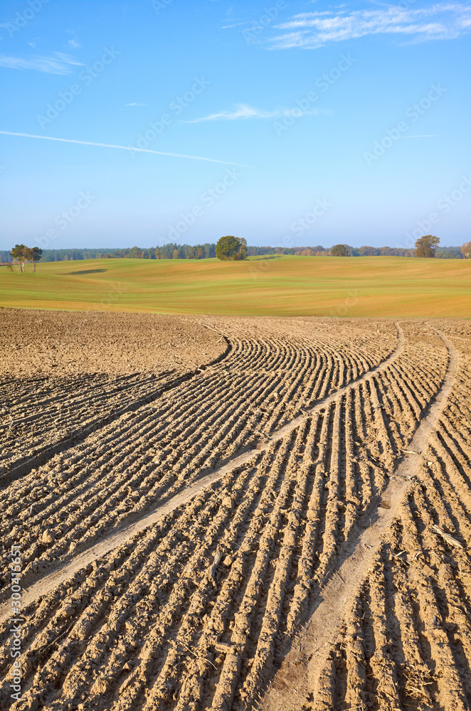 View of a plowed field in warm morning sun