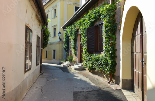 narrow street in old town © Эльвира Ханжина
