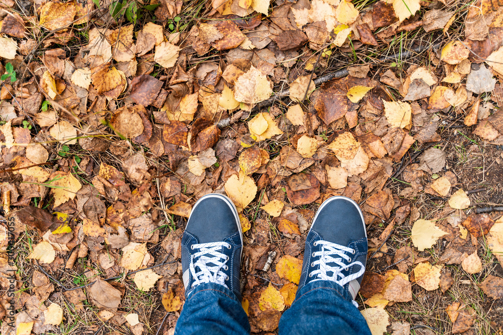 Fall leaf texture and boots Fall leaf texture and boots