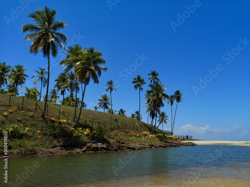 Beach in northeastern Brazil in the city of Ilhéus bahia