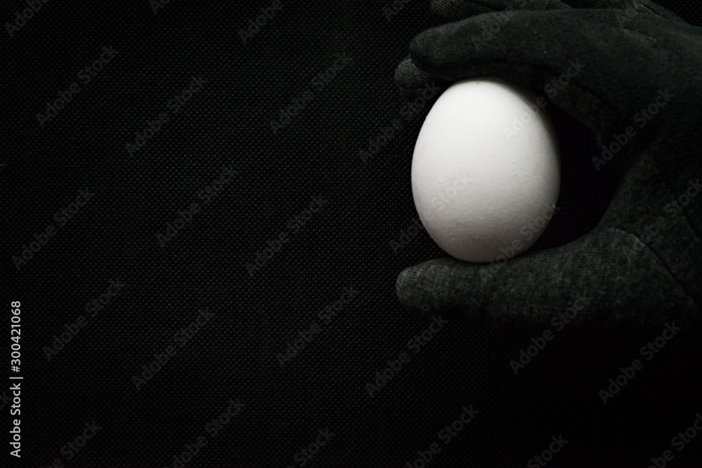 White egg on a black background White egg on a black background