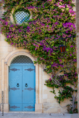 Blue door framed with violet flowers © anovva