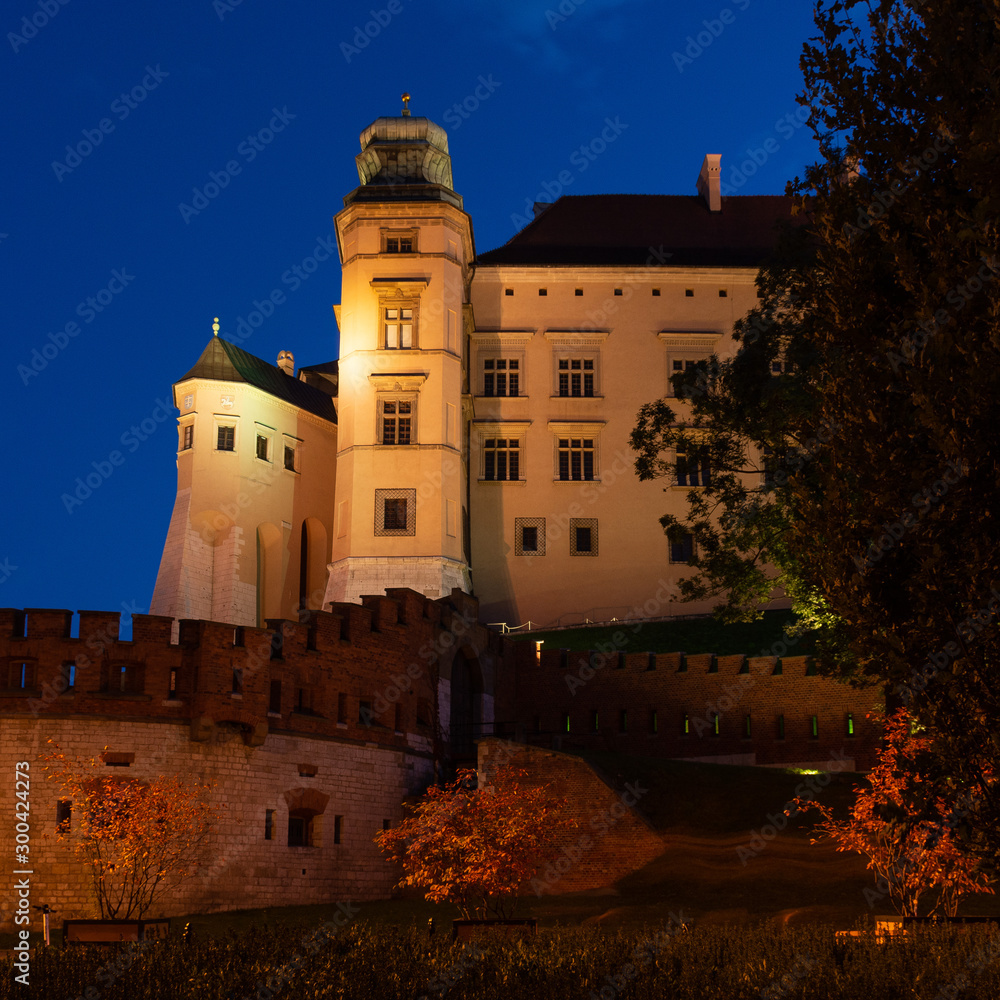 Kraków - Zamek królewski na Wawelu nocą