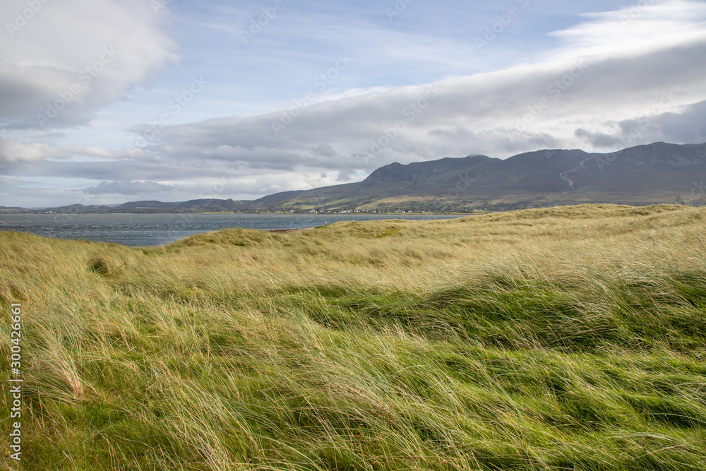 Fototapeta premium Vegetation at Bertra beach with Croagh Patrick mountain