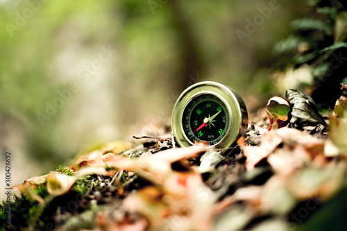 compass in nature background autumn leaves