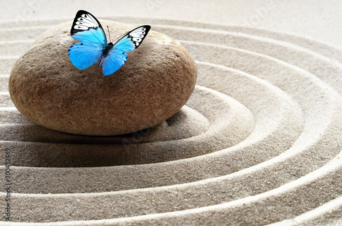 zen garden meditation stone background and butterfly with stones and lines in...