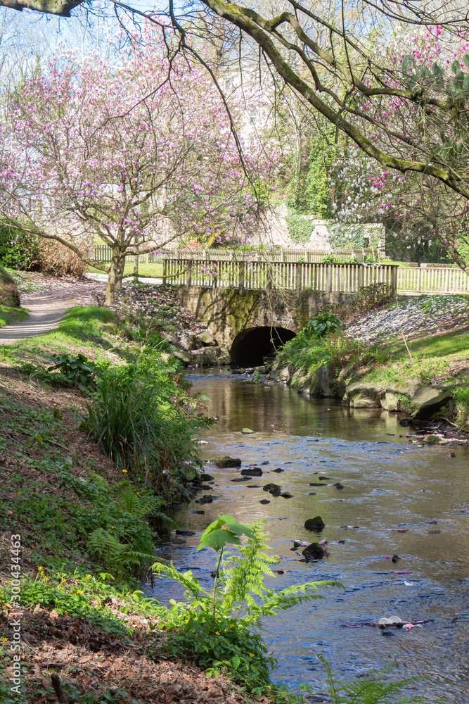 Obraz premium River and bridge in a park during spring