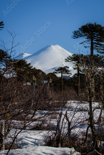 Llaima Vulcan, Araucania, Chile
