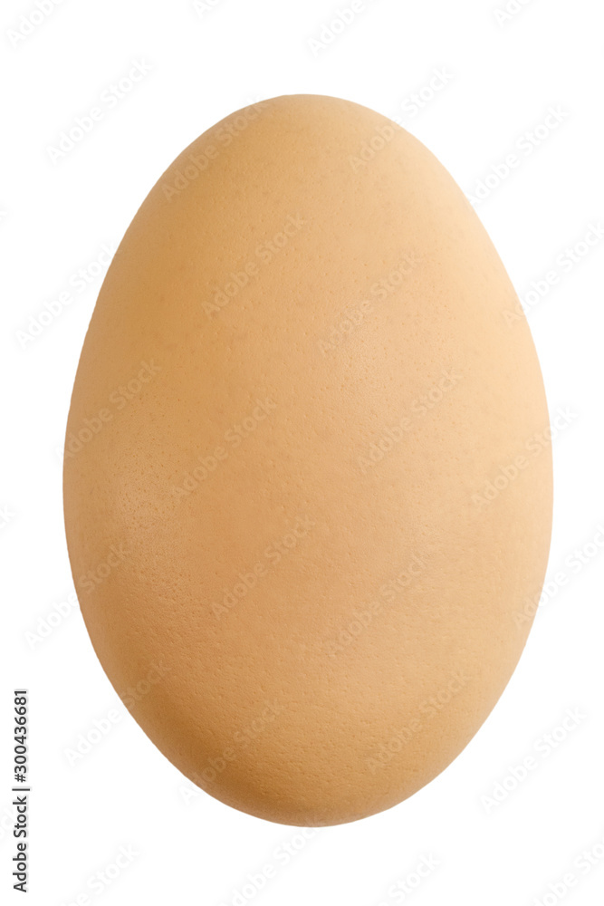 chicken egg closeup isolated on white background chicken egg closeup isolated on white background