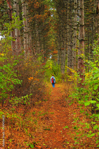 Wallpaper Mural Young woman with bagpack walking in autumn forest Torontodigital.ca