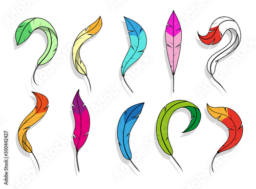 Feathers. Set of fluffy feathers on white background. Colorful image of bird feathers. Soft and lightweight quill of peacock, swan, hen, dove. Detailed Feather in Various Shapes. Graphics to design.
