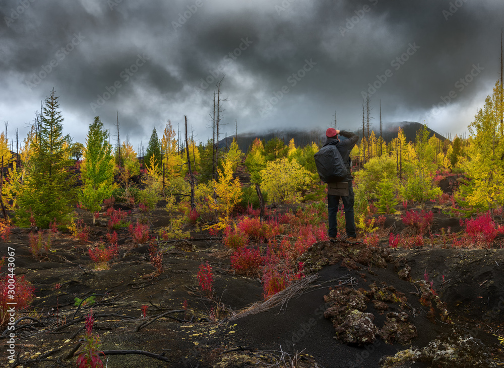 Tourist photographer takes picture autumn landscape in Dead Forest Dead Wood - consequence of natural disaster - catastrophic eruptions volcano. Tolbachik Volcano, Kamchatka Peninsula, Russia
