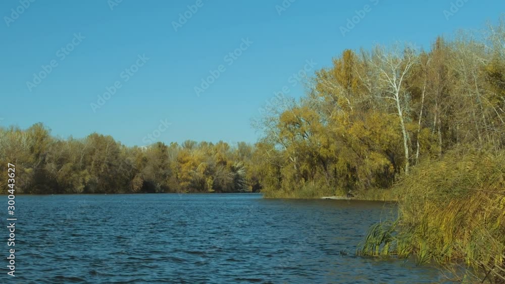 Autumn landscape, forest on the river in autumn Autumn landscape, forest on the river in autumn