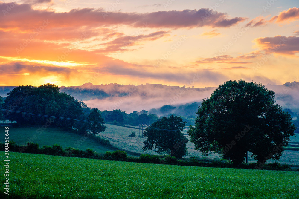 Fototapeta premium sunset over green field