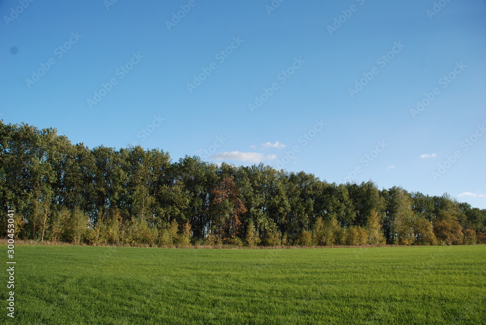 fine october day fine october day