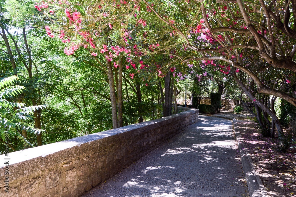 shady path with flowers