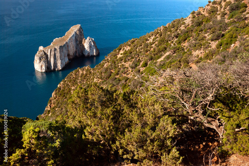 Billede på lærred Panorama costiero con scoglio Pan di Zucchero, Iglesias, Sardegna, Italia