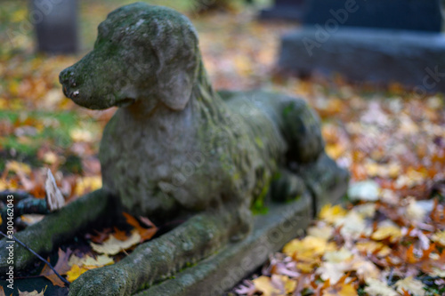 A dog monument in a graveyard