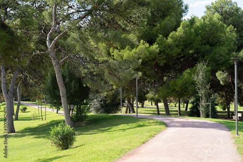 Path in beautiful green city park in the morning. Valencia, Spain