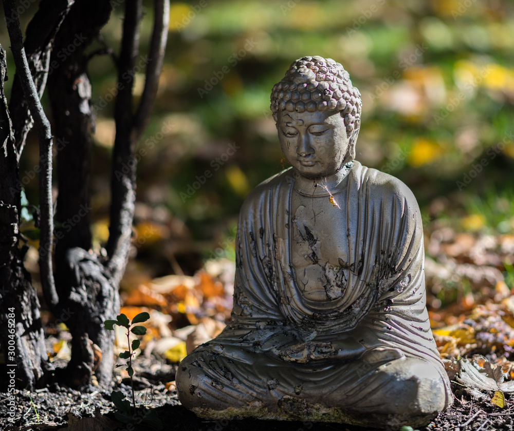 Buddha statue in garden in Fall