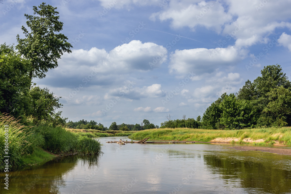River Liwiec near Wolka Paplinska village in Mazowsze region of Poland River Liwiec near Wolka Paplinska village in Mazowsze region of Poland