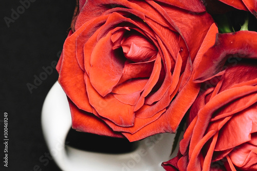 red rose flower in white jug