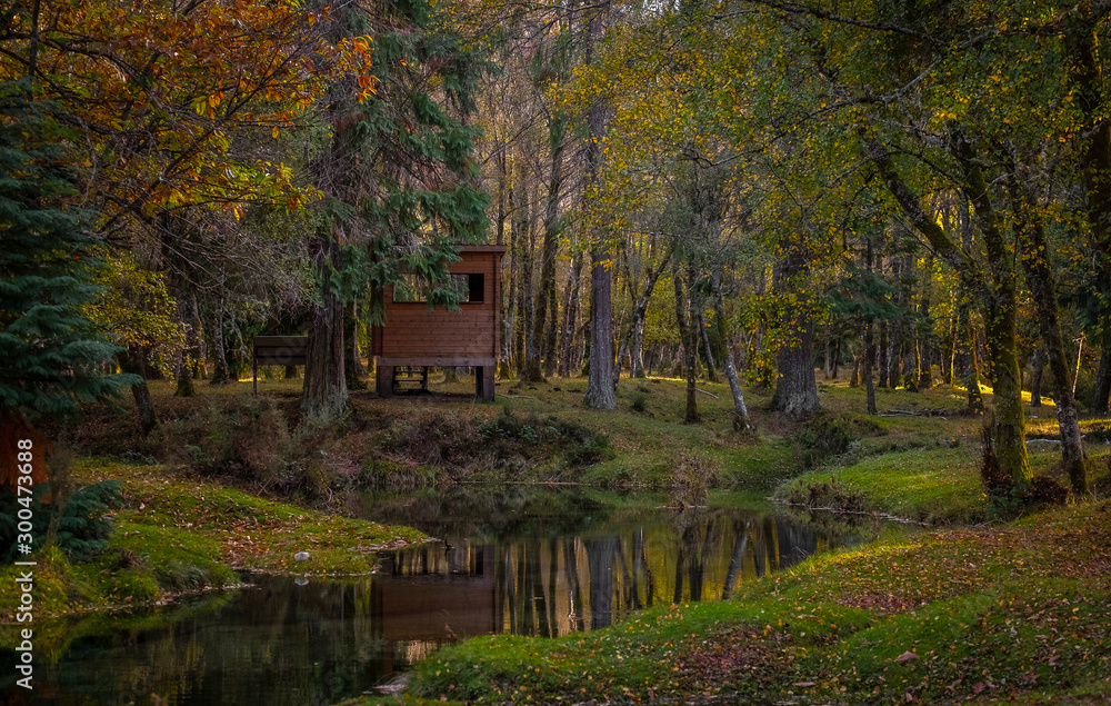 Bonita cabana de madeira e lago na floresta no outono Bonita cabana de madeira e lago na floresta no outono