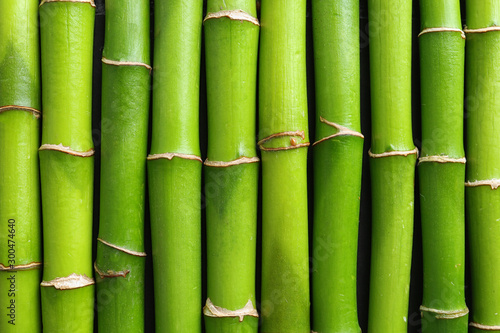 Zielony bambus wywodzi się jako tło, odgórny widok