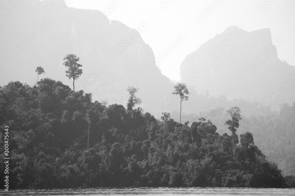 black and white picture of  islands covered in jungle