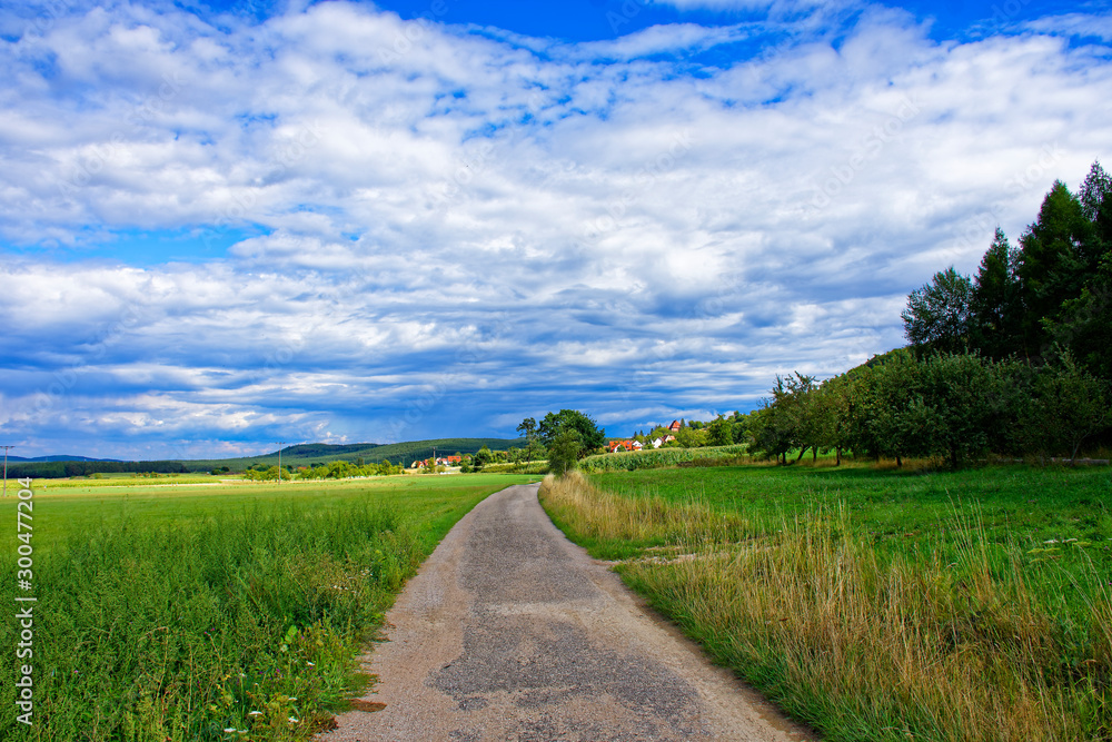 Beautiful sky with clouds over field near forest