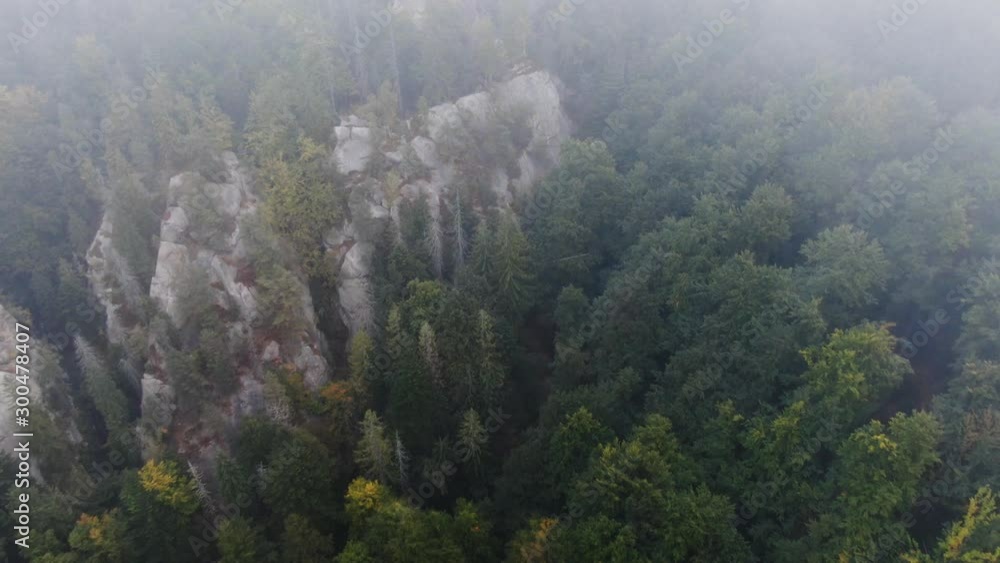 Aerial view mountain with trees in autumn Aerial view mountain with trees in autumn