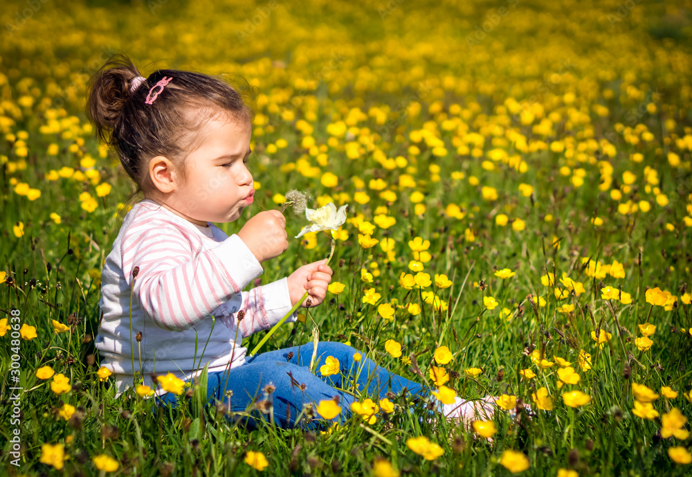 Young girl blowing dandelion on meadow, summer day, blurred background Young girl blowing dandelion on meadow, summer day, blurred background