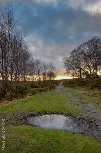 moorland path with puddle and bare trees in winter