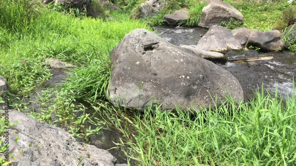 clear water flowing in a river with green grass at its edge clear water flowing in a river with green grass at its edge