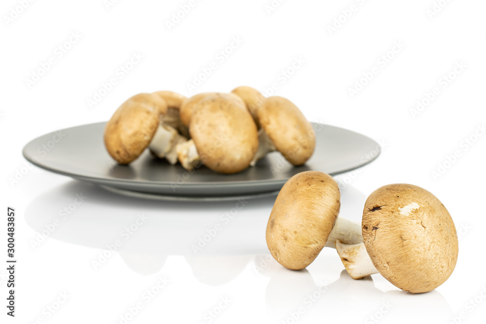 Group of seven whole fresh brown champignon on gray ceramic plate isolated on white background Group of seven whole fresh brown champignon on gray ceramic plate isolated on white background