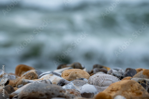 Venericor bivalve shell amongst pebbles on the beach at Bracklesham Bay near East Wittering, West Sussex UK.  photo