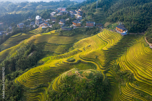 Wall Mural Longji Rice terraces China aerial View