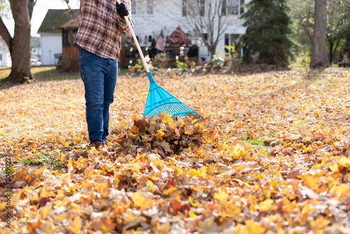 Canvas Print Fall clean up in the backyard - man raking leaves